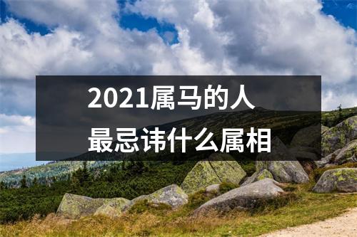 2025属马的人忌讳什么属相