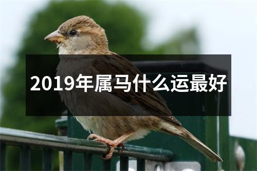 2019年属马什么运好