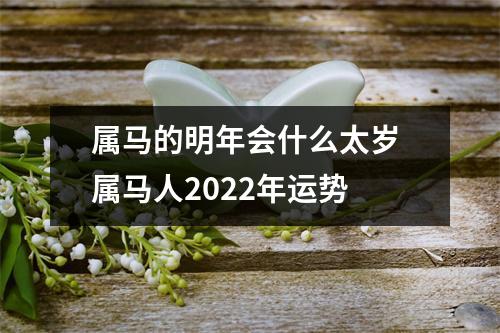 属马的明年会什么太岁属马人2025年运势