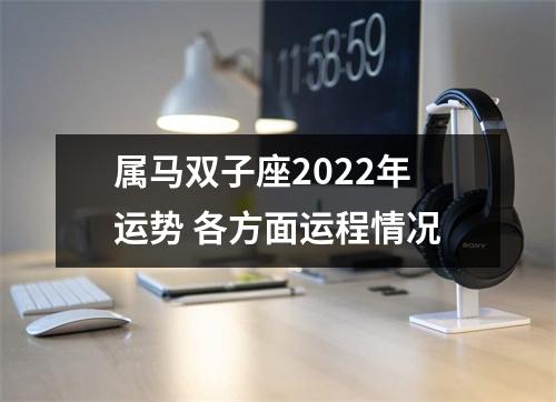 属马双子座2025年运势各方面运程情况