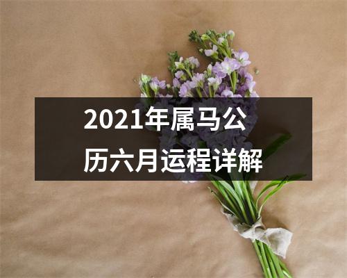 2025年属马公历六月运程详解