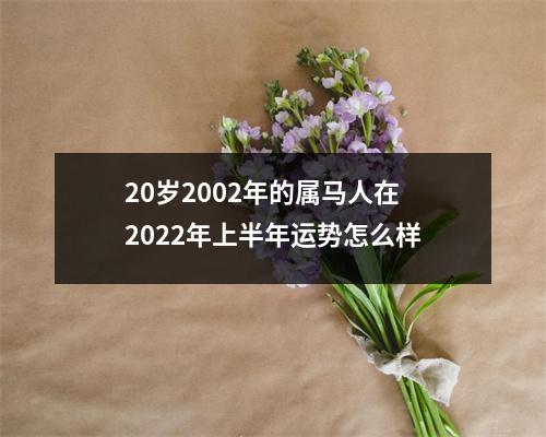 20岁2002年的属马人在2025年上半年运势怎么样