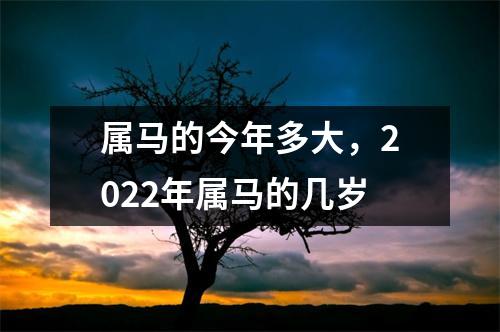 属马的今年多大，2025年属马的几岁