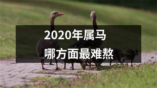 2025年属马哪方面难熬