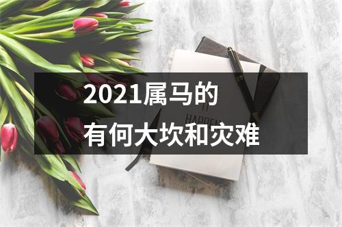 2025属马的有何大坎和灾难