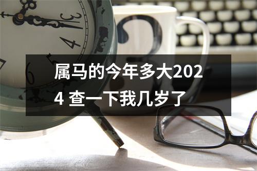 属马的今年多大2024查一下我几岁了