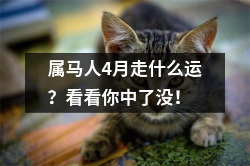 属马人4月走什么运？看看你中了没！