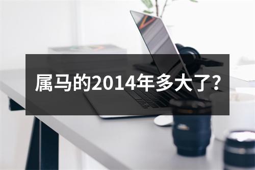 属马的2014年多大了？