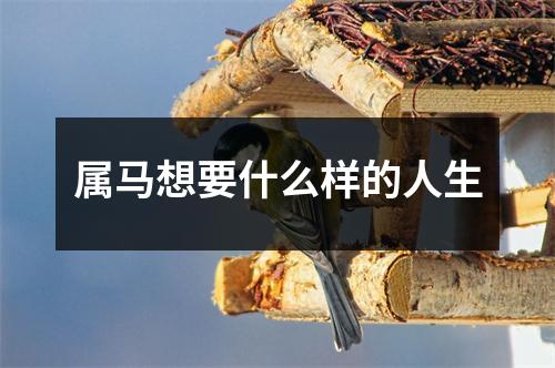 属马想要什么样的人生