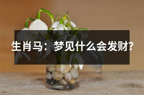 生肖马：梦见什么会发财？