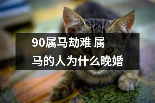 90属马劫难属马的人为什么晚婚