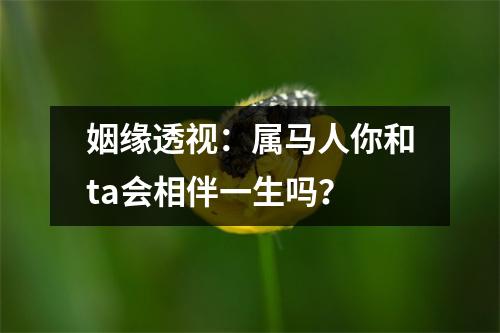 <h3>姻缘透视：属马人你和ta会相伴一生吗？