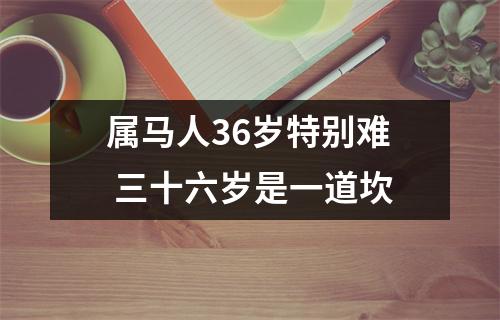 属马人36岁特别难三十六岁是一道坎