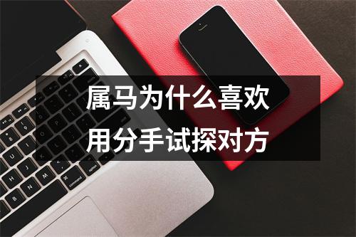 属马为什么喜欢用分手试探对方