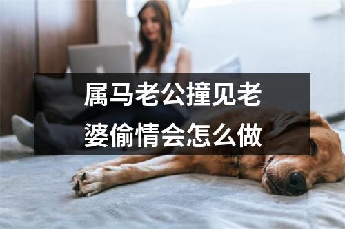 属马老公撞见老婆偷情会怎么做