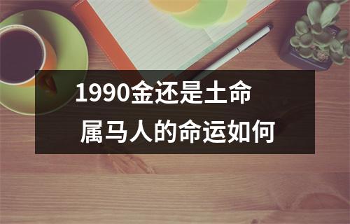 1990金还是土命属马人的命运如何