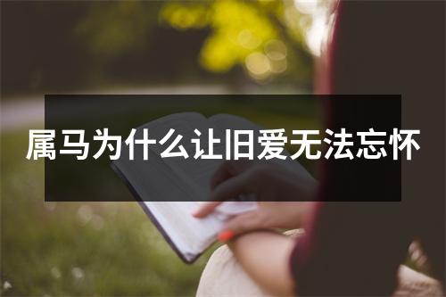 属马为什么让旧爱无法忘怀