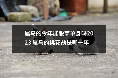 属马的今年能脱离单身吗2025属马的桃花劫是哪一年