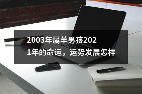 2003年属羊男孩2021年的命运，运势发展怎样