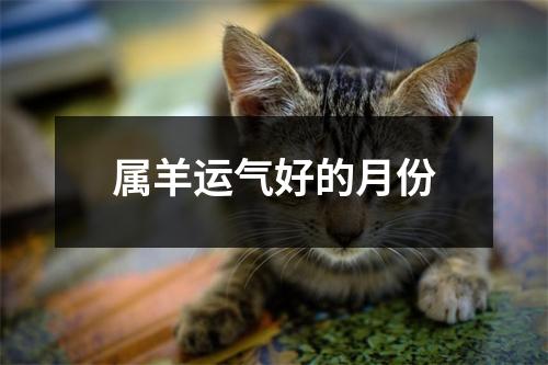 属羊运气好的月份