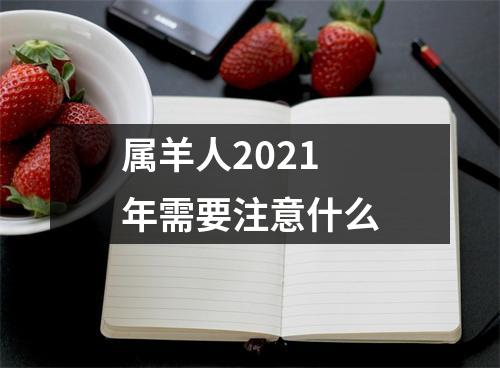 属羊人2025年需要注意什么