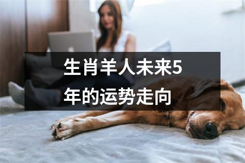 生肖羊人未来5年的运势走向