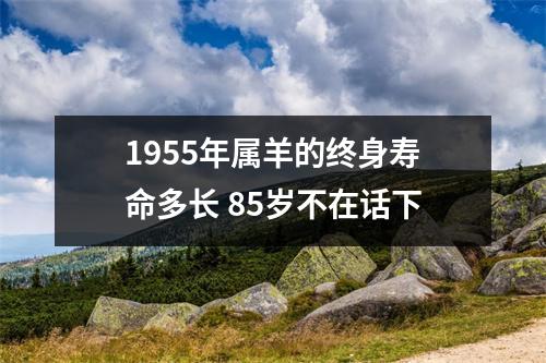 <h3>1955年属羊的终身寿命多长85岁不在话下