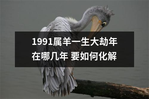 1991属羊一生大劫年在哪几年要如何化解