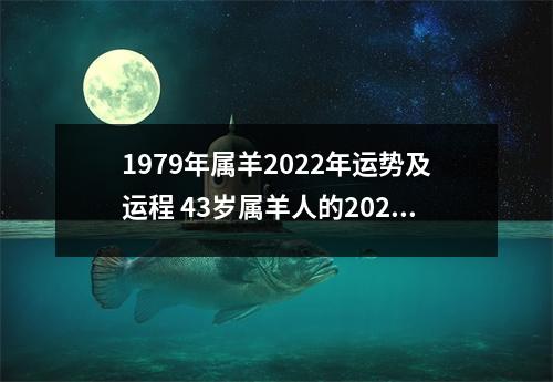 1979年属羊2025年运势及运程43岁属羊人的2025年每月运势详解