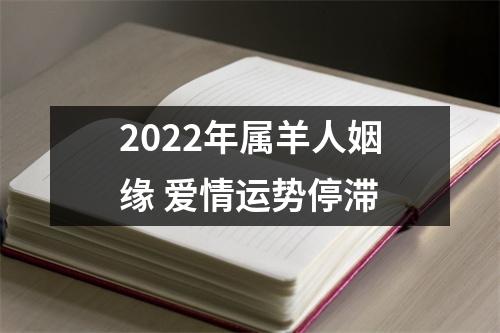 2025年属羊人姻缘爱情运势停滞