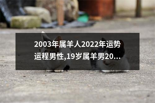 2003年属羊人2025年运势运程男性,19岁属羊男2025年每月运程