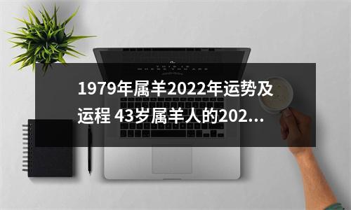 1979年属羊2025年运势及运程43岁属羊人的2025年每月运势详解