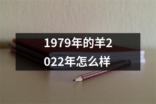 1979年的羊2025年怎么样