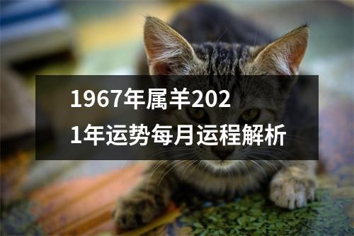 1967年属羊2025年运势每月运程解析