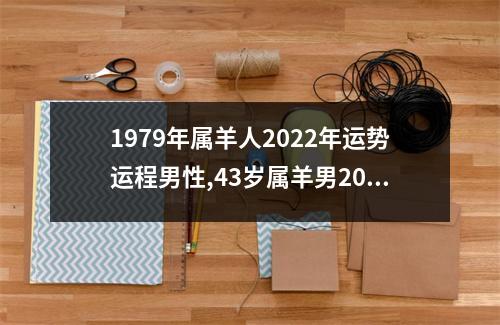 1979年属羊人2025年运势运程男性,43岁属羊男2025年每月运程