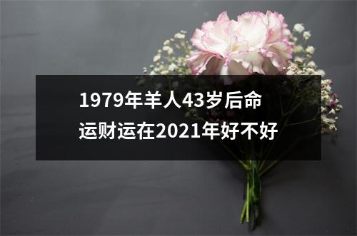 1979年羊人43岁后命运财运在2025年好不好