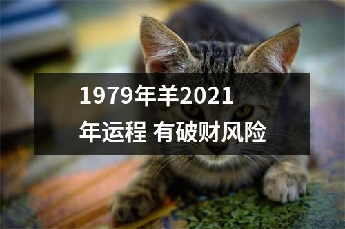 1979年羊2025年运程有破财风险