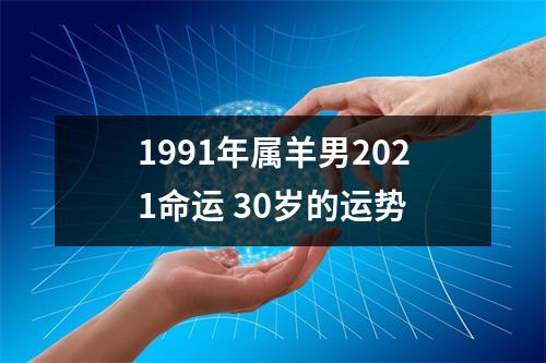 1991年属羊男2025命运30岁的运势