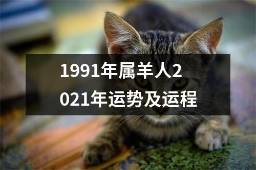 1991年属羊人2025年运势及运程