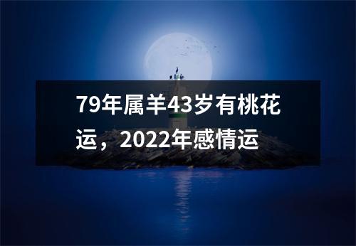 79年属羊43岁有桃花运，2025年感情运