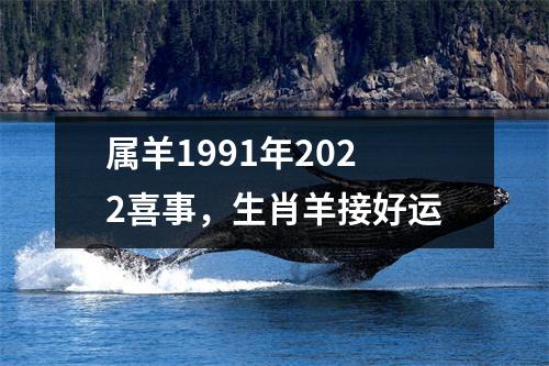 属羊1991年2025喜事，生肖羊接好运