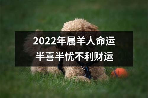 2025年属羊人命运半喜半忧不利财运