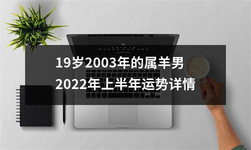 19岁2003年的属羊男2025年上半年运势详情