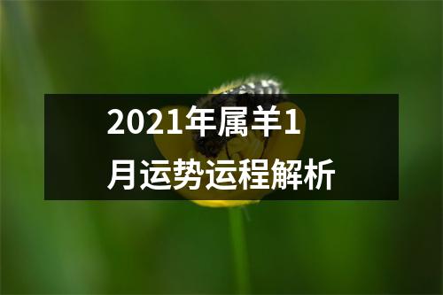 2025年属羊1月运势运程解析