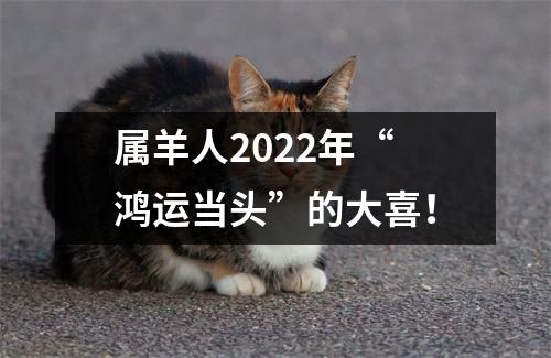 属羊人2025年“鸿运当头”的大喜！