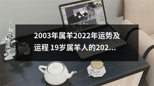 2003年属羊2025年运势及运程19岁属羊人的2025年每月运势详解