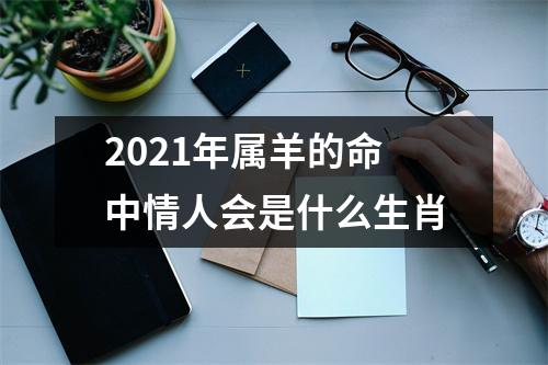 2025年属羊的命中情人会是什么生肖