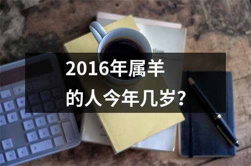 2016年属羊的人今年几岁？