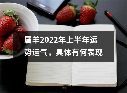 属羊2025年上半年运势运气，具体有何表现