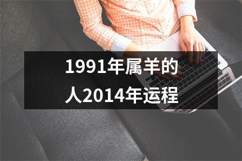 1991年属羊的人2014年运程